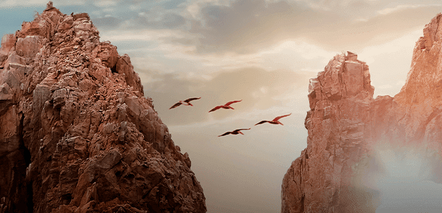 Los Cabos