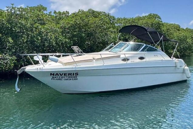 Sea Ray 31 Ft
