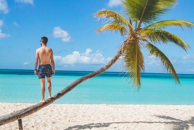 Hombre parado sobre palmera