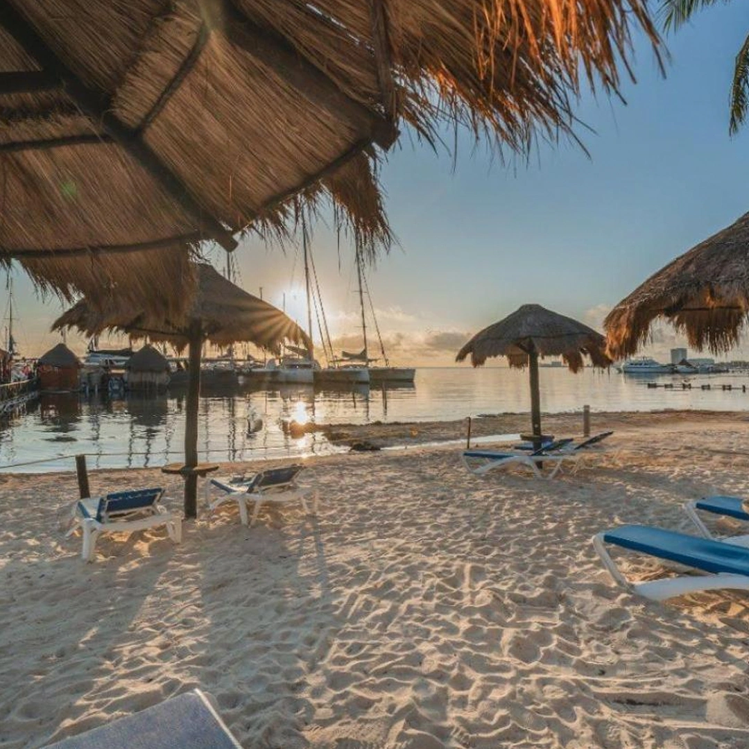 Mesa de trabajo 2-1 (3)